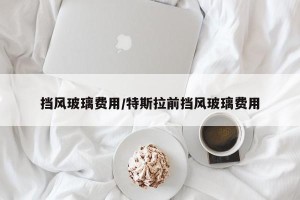 挡风玻璃费用/特斯拉前挡风玻璃费用