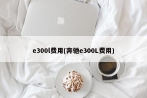 e300l费用(奔驰e300L费用)