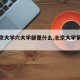【北京大学六大学部是什么,北京大学第六大学】