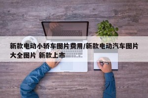 新款电动小轿车图片费用/新款电动汽车图片大全图片 新款上市