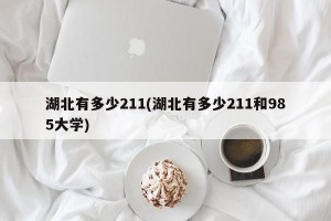 湖北有多少211(湖北有多少211和985大学)