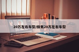 20万左右车型/极氪20万左右车型