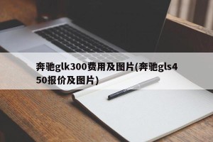 奔驰glk300费用及图片(奔驰gls450报价及图片)